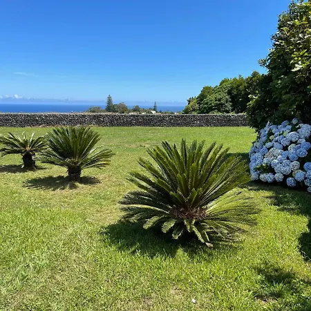 Azores Nature